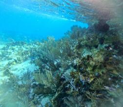 3336285